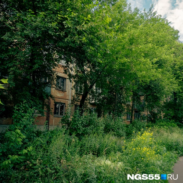 Здание почти не видно из-за деревьев | Источник: Кирилл Башинский / NGS55.RU