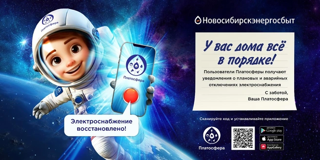 Источник: АО «Новосибирскэнергосбыт»
