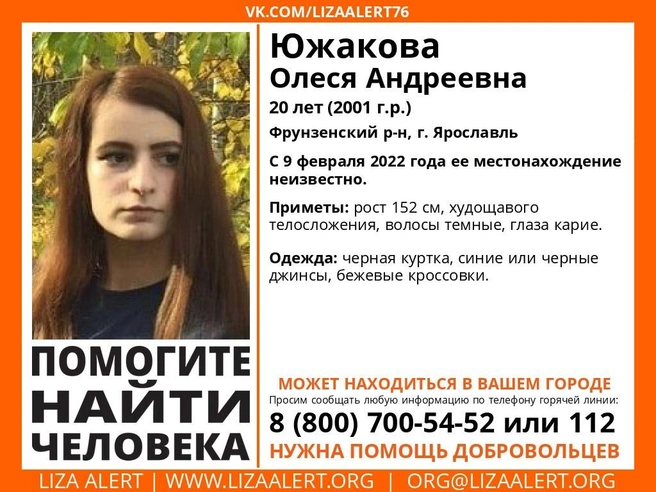 Источник: «ЛизаАлерт» / vk.com