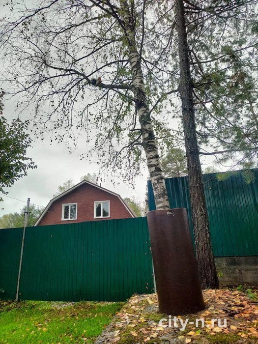 «Мы прекрасно понимаем, что однажды, приехав на дачу, мы можем просто упереться в шлагбаум», — сообщает владелица участка | Источник: www.city-n.ru