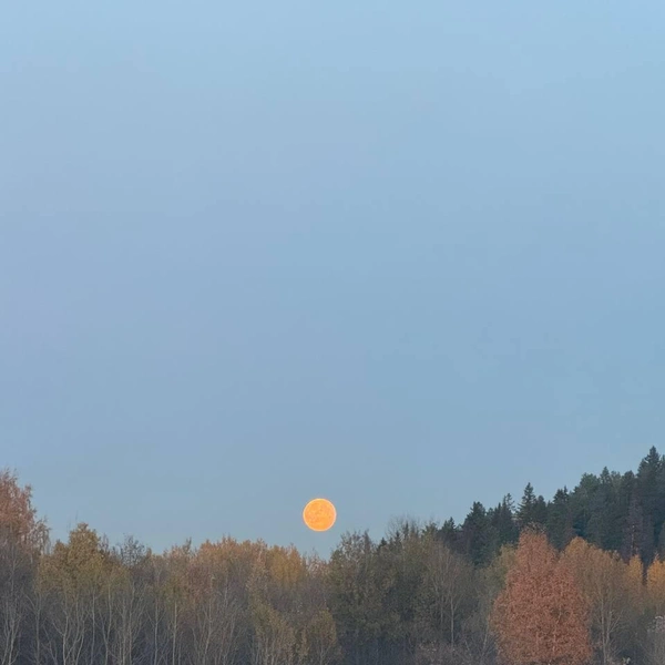 Луна была не только больше, но и ярче обычного | Источник: читательница 59.RU