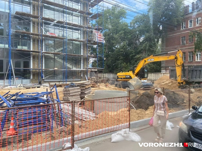 Источник: Дмитрий Волгин / Voronezh1.ru