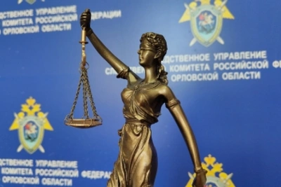 В Орле руководитель компании осуждён за налоговое преступление