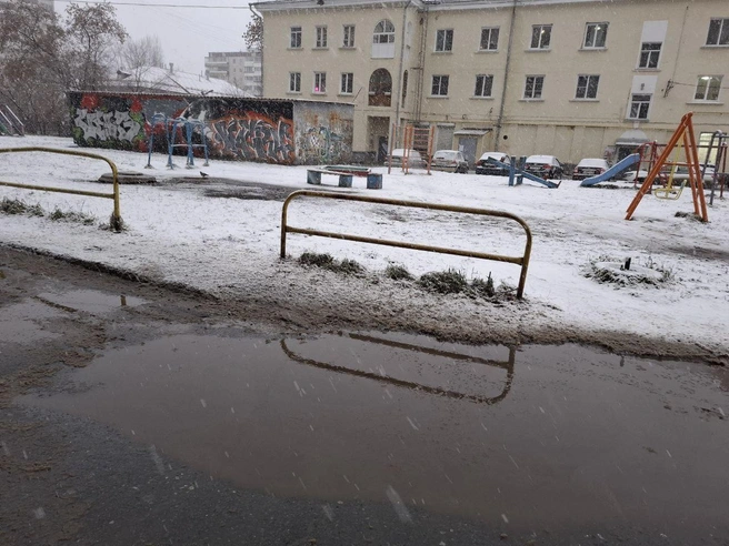 Источник: Елена Аносова / E1.RU