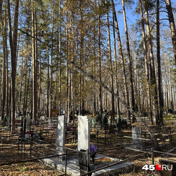 Источник: Кирилл Митин