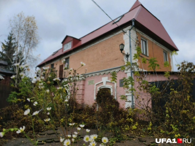 Местность вокруг заросла всем чем можно | Источник: Булат Салихов / UFA1.RU