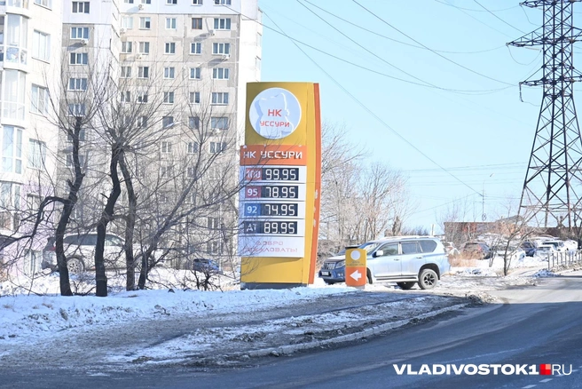 Источник: елена Буйвол / VLADIVOSTOK1.RU