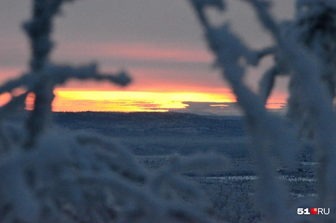 Источник: Дмитрий Артёменко / 51.RU