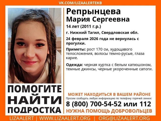 Ориентировка с приметами пропавшей. | Источник: «ЛизаАлерт»