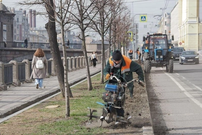 Петербург ожидает рекорд тепла 16 апреля