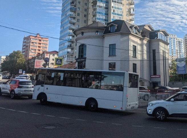 Люди не дали грабителю покинуть автобус | Источник: Оксана Витязь