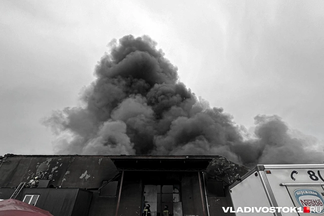 Это не первое подобное происшествие | Источник: Елена Буйвол / VLADIVOSTOK1.RU