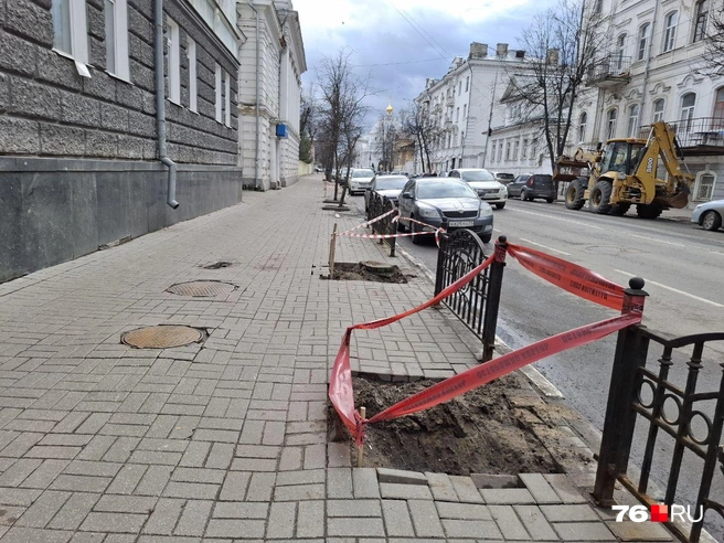 В Ярославле на центральной улице вырубили деревья | Источник: читатель 76.RU