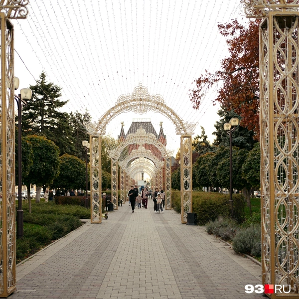 Источник: Дарья Паращенко / 93.RU