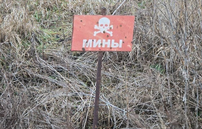 Министр сфотографировал знак, предупреждающий о минах | Источник: Петр Шамаев / T.me