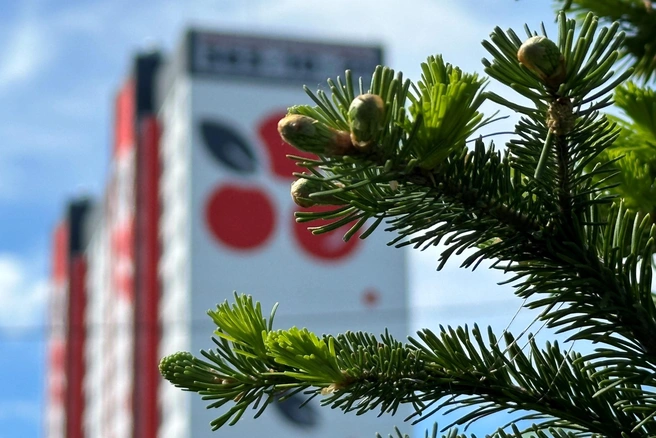 ЖК «Калина красная» в экологичном пригороде Новосибирска | Источник: ГК «КПД-Газстрой»