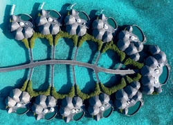 Где отдыхать на Мальдивах: The Nautilus Maldives — подробное ревью