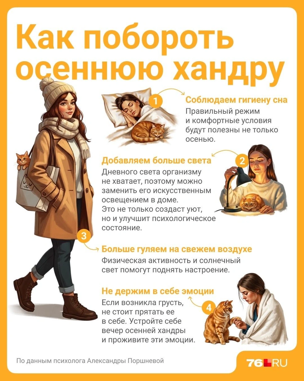 Собрали полезные лайфхаки в карточке | Источник: Полина Авдошина / Городские медиа