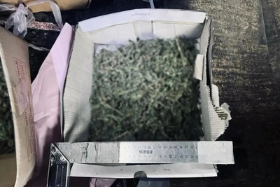 В Кызыле изъяли крупную партию марихуаны