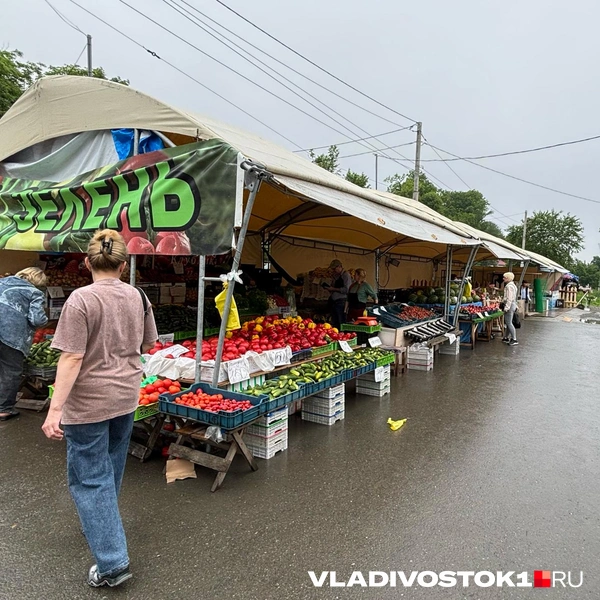 Источник: Елена Буйвол / VLADIVOSTOK1.RU