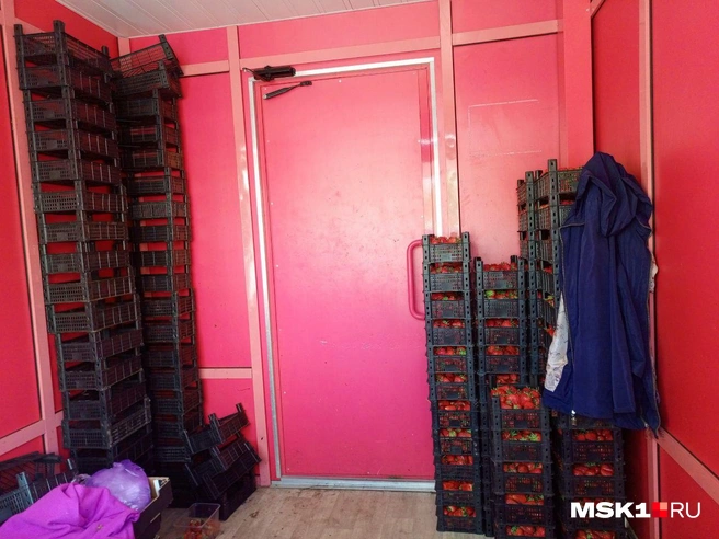 Источник: Полина Громова / MSK1.RU