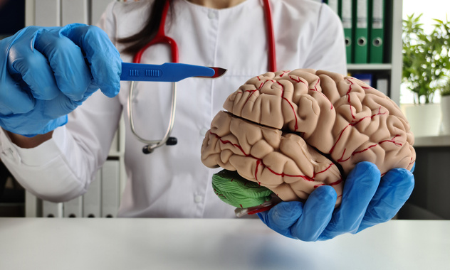 Невролог Мосин назвал два вещества, без которых мозг не проживет и пяти минут