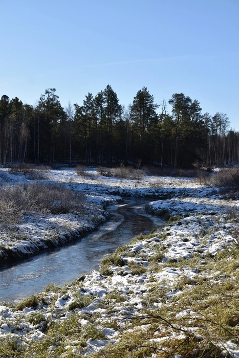 Источник: Анастасия Руднева / Vk.com