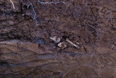 На стройке в Уфе найдены останки трех человек