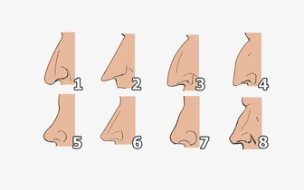 Какой у вас нос? Выберите свою форму и узнайте скрытую черту своего характера