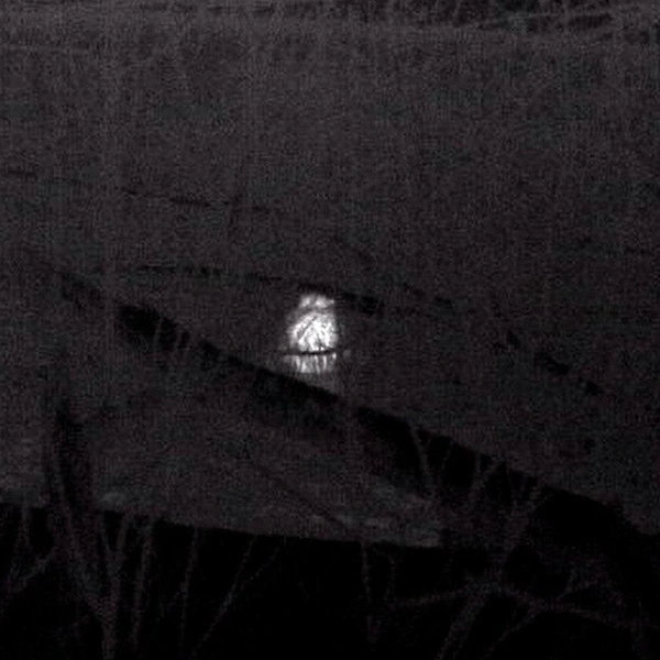 Источник: Павел Глазков / Каждой твари по паре