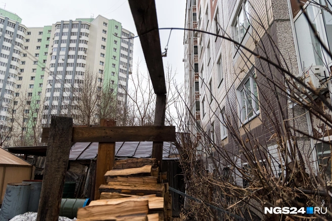 Кусты не дают завалиться постройкам | Источник: Мария Ленц / NGS24.RU