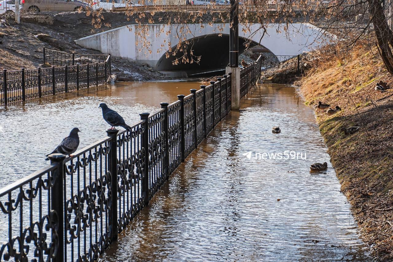 Мотовилихинский пруд вышел из берегов и затопил Райский сад: фото и видео