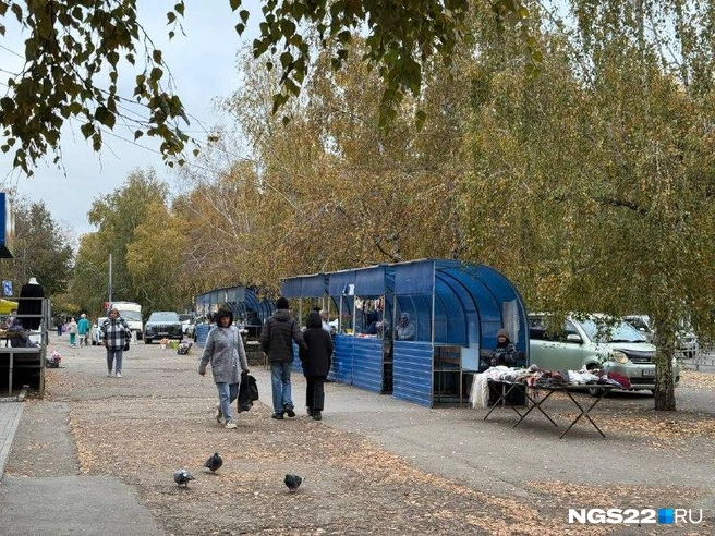 Источник: Полина Шевчукова / NGS22.RU