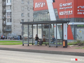Для пассажиров автобусов заменили старые остановочные павильоны на новые | Источник: Кирилл Хафизов / 59.RU