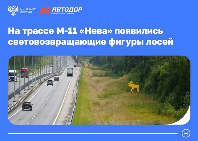 Светящиеся лоси на М-11 предупредят водителей о настоящих | Источник: Минтранс России