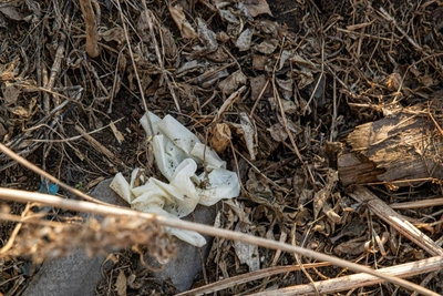 Под Рязанью обнаружена несанкционированная свалка