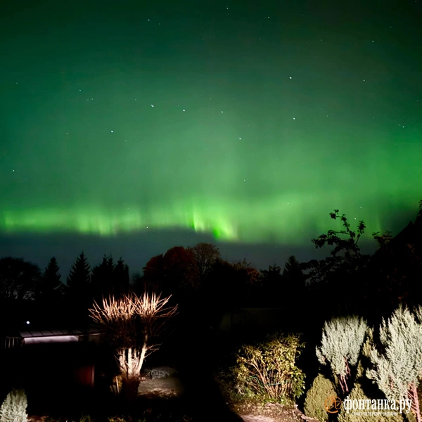 Источник: читательница «Фонтанки» Екатерина