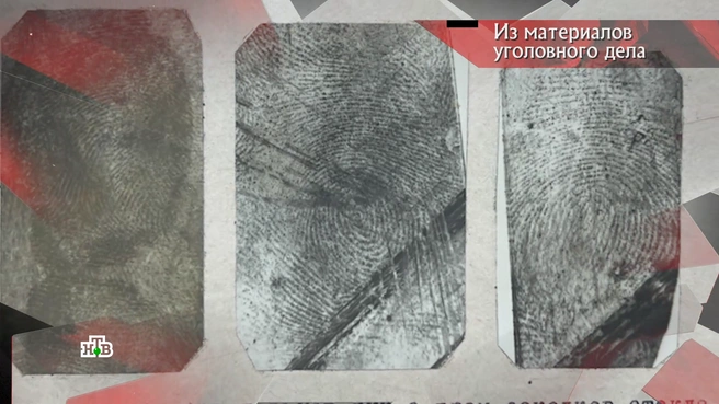 Отпечатки с места убийства пенсионерки | Источник: программа «Следствие вели», выпуск от 03.11.2024 / НТВ.RU
