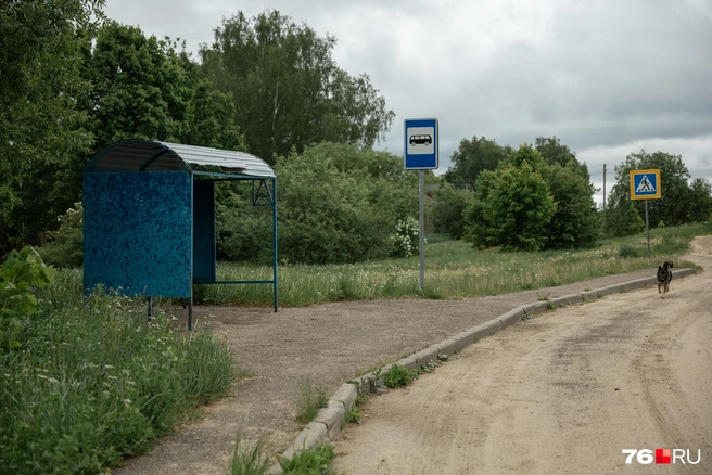 Остановка общественного транспорта в Березняках | Источник: Александр Куренной / 76.RU
