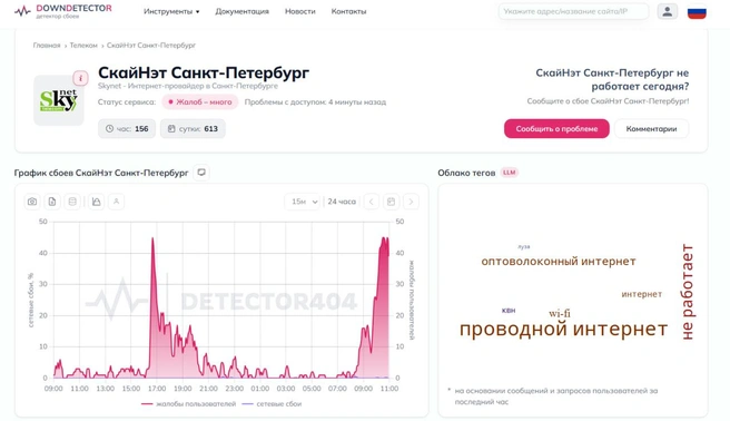 Петербуржцы снова жалуются на сбои в работе SkyNet | Источник: скриншот сайта detector404.ru