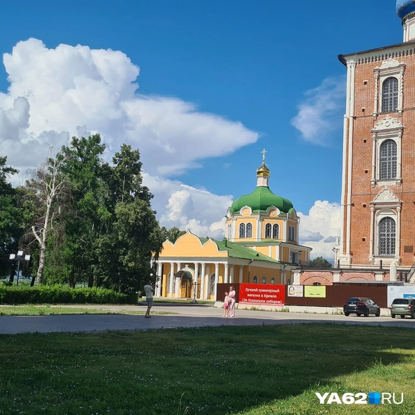 Сухая береза может рано или поздно упасть на посетителей | Источник: Светлана Коновалова / YA62.RU