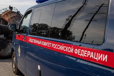 В Бердске неизвестные избили 7-летнего ребенка — следователи начали проверку
