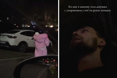 Москвич спас умирающего шпица по пути в клинику