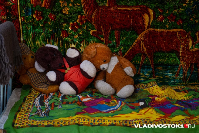 Источник: Елена Буйвол / VLADIVOSTOK1.RU