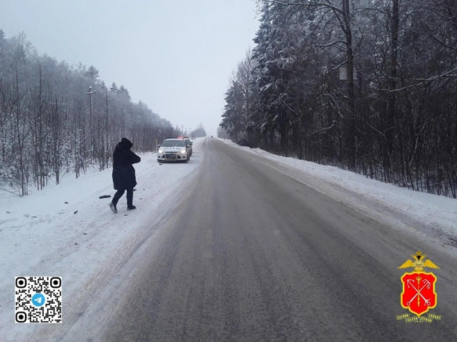 Источник: ГУ МВД по Петербургу и Ленобласти