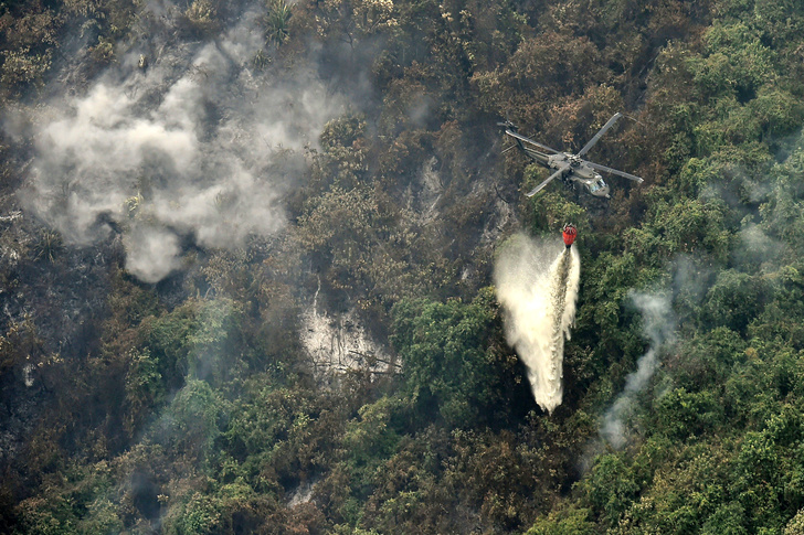 Амазония в огне: аномальный январь принес пожары в колумбийские леса