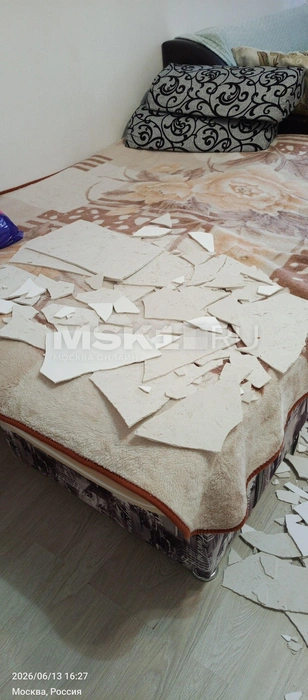 Слой штукатурки упал на кровать и на пол | Источник: Андрей, читатель MSK1.RU