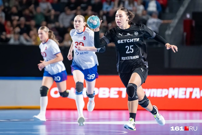 Источник: Евгений Вдовин / 161.RU