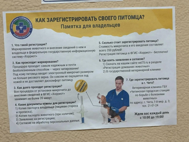 Источник: Егор Захаров / CHITA.RU