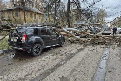 Штормовой ветер в Нижнем Новгороде: последствия